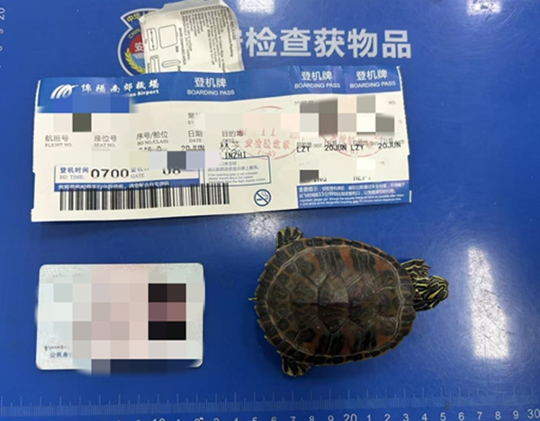pic(14)_副本.jpg